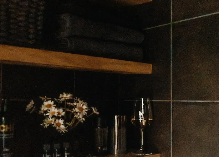 Mustika Mirror Minivilla Saunaga * Kärdla